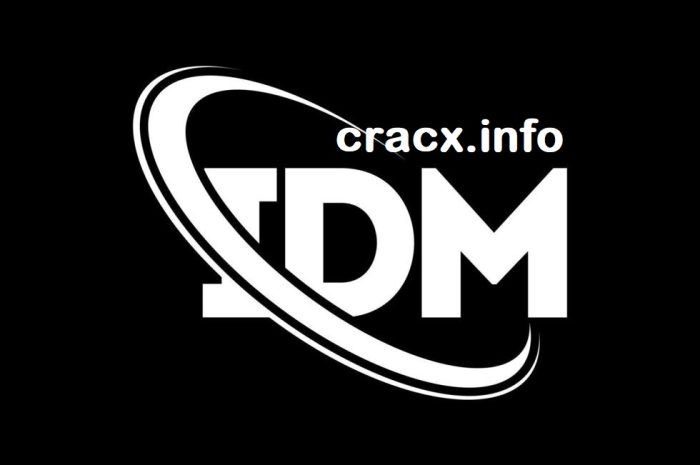 IDM Crack 6.21 Build 2 Patch With Serial Key Download [2024]